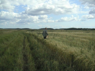 MINOLTA DIGITAL CAMERA